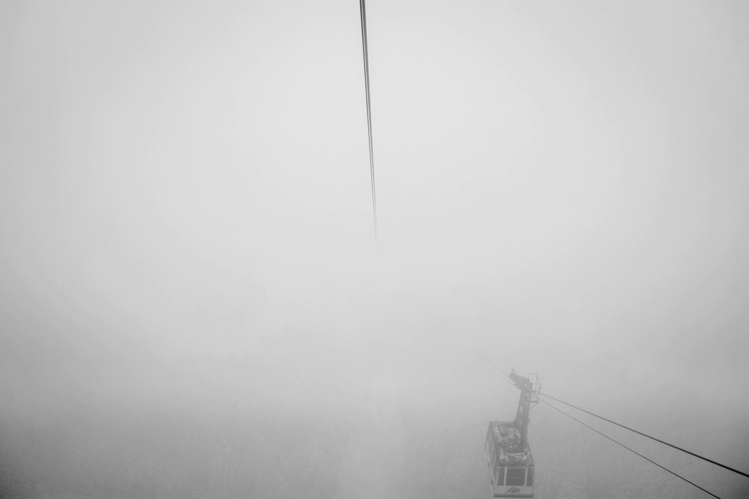Nebel auf dem Weg zum Tegelberg