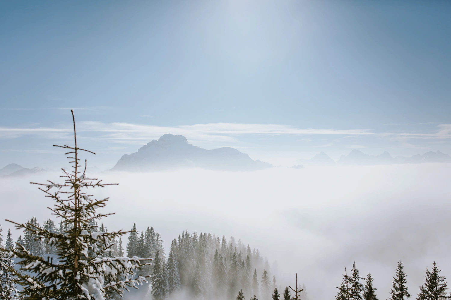 Winterliche Panorama auf dem Tegelberg bei blauem Himmel nahe Füssen
