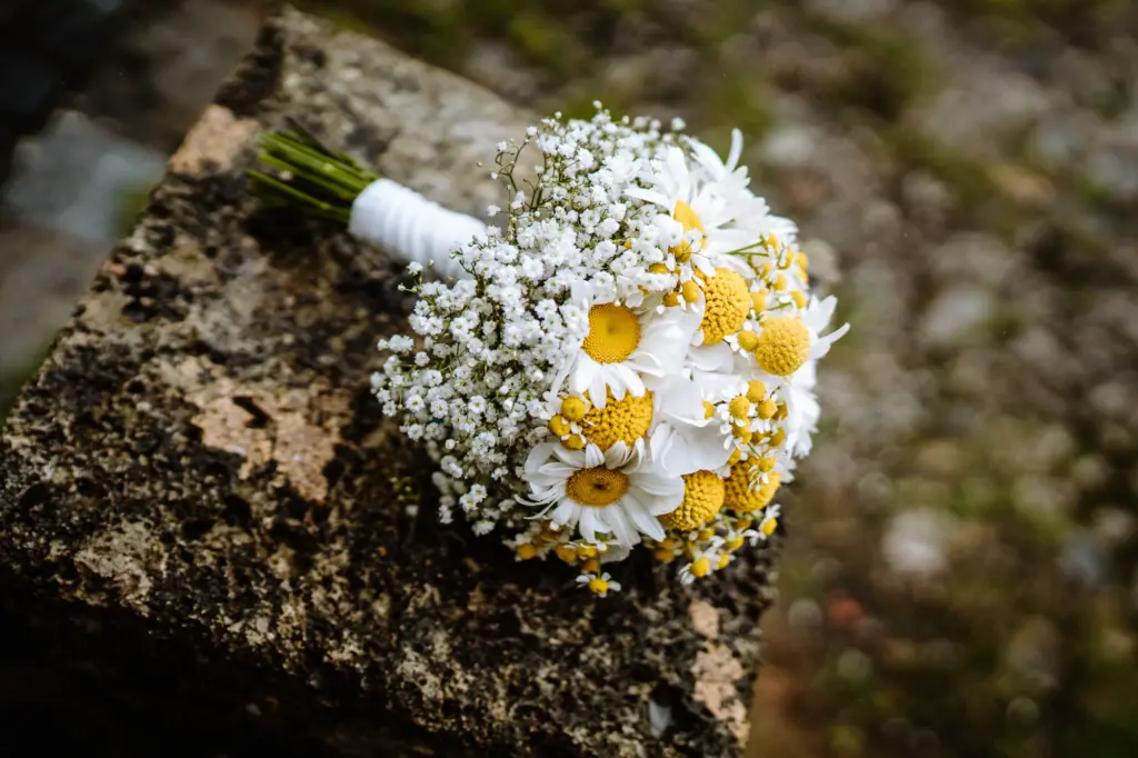 Hochzeitsstrauß mit Gänseblümchen